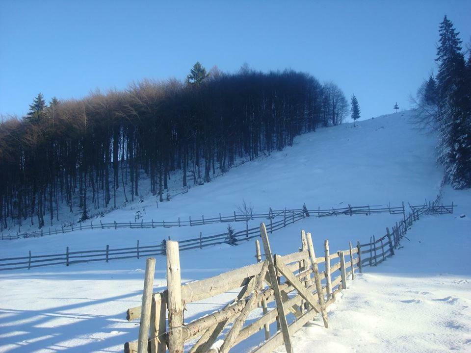 Pensiunea Edera Fundata Exterior photo